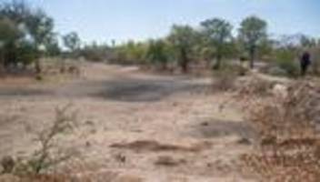 Klima: El Niño kündigt sich an – Experten warnen vor Extremwetter