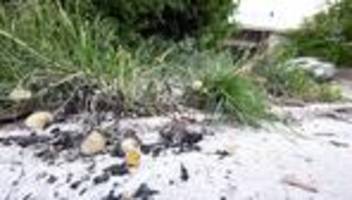 obduktion abgeschlossen: verbrannter mann identifiziert - das weiß man über den toten