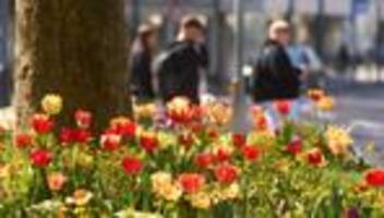 wetter: es bleibt sonnig und mild in rheinland-pfalz und im saarland