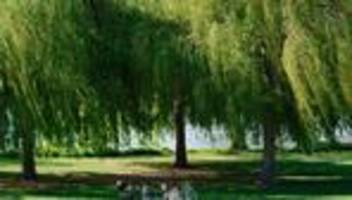 Wetter: Sonniger Wochenendstart - wann es trotzdem die Jacke braucht