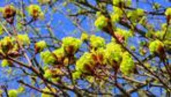 Wetter in Bayern: Temperaturen bis 23 Grad - Sonne lockt Bayern ins Freie