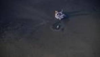 buckelwal timmy: gestrandeter wal kann frühestens sonntag wegbewegt werden