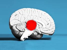 parkinson: was tun gegen den grizzly im gehirn?