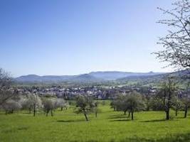 Hohe Pollenbelastung: Frühsommerliche Luftmassen klopfen zum Mai-Start an