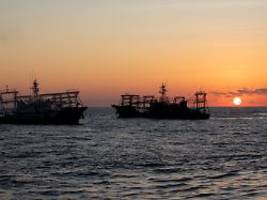 Ozean-Flashmob: China rüstet Tausende Fischerboote zur geheimen Miliz auf