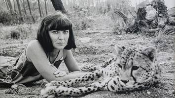 eine großartige hommage an helmut und june newton: „intermezzo“