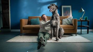 Volkswagen Bank Zinsen 2026: Vier Geldanlagen für Sicherheit und Rendite