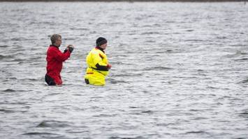 Wal vor Poel: Minister sieht „gute Herzfrequenz“ – Offene Fragen bei Rettungskonzept