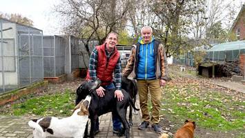 Berliner Altenheim für Tiere eröffnet neues Zuhause – alle Infos