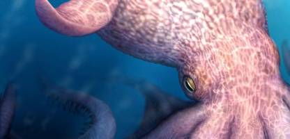 Riesen-Oktopus mit 19 Meter Länge: Überreste aus der Kreidezeit entdeckt