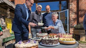 Diese Signature-Torte mit Karamellcrunch und Blaubeeren macht sprachlos