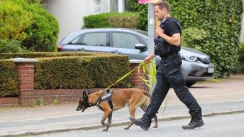 Schüsse nach Polizeieinsatz: Beamte suchen Straftäter, Straßen abgeriegelt