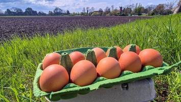 Echtes Landei? Wie viel Vier- und Marschlande in den Eiern aus der Region steckt
