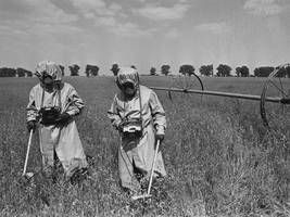 40 Jahre Katastrophe von Tschernobyl: Eine schwarze Begebenheit