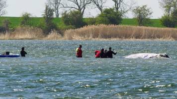 Free Willy-Crew: Experten zerlegen neue Wal-Retter