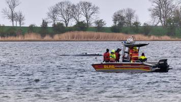 Von Millionär bis AfD-Sympathisant: Das sind die Walretter