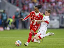 Fußball: Sieben Bundesligisten für Europa