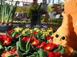 Gartencenter: Hier macht die Weltlage kurz mal Pause