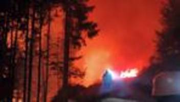 Brände: Waldbrand in Österreich - 110 Hektar stehen in Flammen