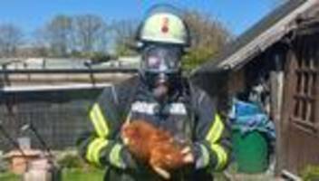 Einsatz: Feuerwehr rettet Hühner vor den Flammen