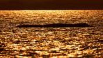 Fotografie: Bilder des Tages