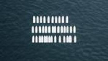 Geplanter Anschlag in Berlin: Mutmaßlicher Hamas-Terrorist war V-Mann des Verfassungsschutzes