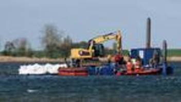 Ostsee: Buckelwal darf auf einen Lastkahn bugsiert werden