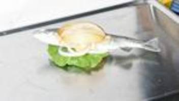 sylt: achtung, fische können gräten enthalten