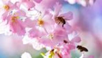 wetter: sonne satt am samstag