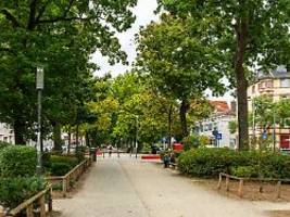 In der Stadt, im Wald, in Gärten: Warum Bäume für das Leben so wichtig sind