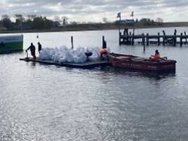 Rinne ins Meer fast fertig: Sandsäcke sollen Wal von Flachwasser fernhalten
