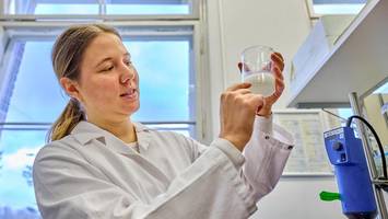 Mysterium Hafermilch: Forscher enträtseln die Geheimnisse pflanzlicher Proteine