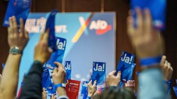 Nach Rede im Hitler-Stil: AfD schließt Eichwald aus Partei aus