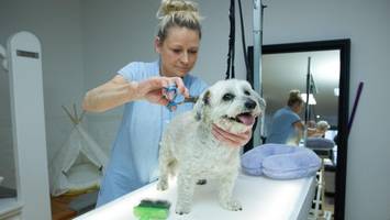 neueröffnung in der bölschestraße: aus der kneipe in den hundesalon