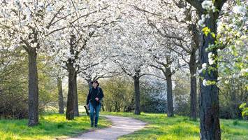 Wandern in Berlin: Neun abwechslungsreiche Touren direkt vor der Haustür