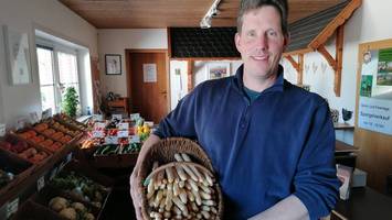 Höfe bei Hamburg bieten auch sonntags Spargel quietsch-frisch vom Feld