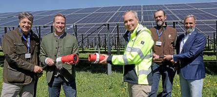 Auf Schatten folgt Licht bei Nestlé in Biessenhofen: Ab sofort weiden Kühe unter PV-Modulen