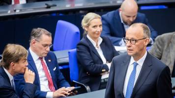 Sonntagstrend: AfD erreicht in Umfrage neuen Höchstwert, Union stagniert