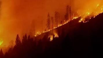 alpen in flammen: waldbrand zerstört 110 hektar fläche
