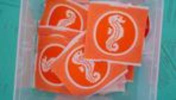 DLRG: Mehr Kinder in Hamburg erlangen Schwimmabzeichen