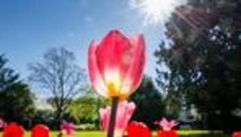 Wetter in NRW: Frühlingswetter zum Start in die neue Woche