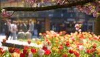 Wetteraussichten: Heiteres Frühlingswetter setzt sich in neuer Woche fort