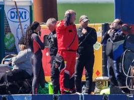 soll in wanne weggezogen werden: lastkahn nimmt kurs auf den wal