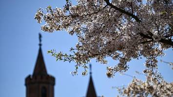 Wetter für Berlin: Sonntag mit Sonne satt – aber Nächte eiskalt