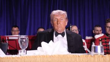 Schüsse bei Trump-Dinner: Manifest des „Bundeskillers“ schockiert die USA