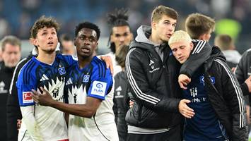 er ist jetzt der mutmacher beim hsv: verändert polzin für ihn das system?