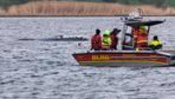 Gestrandeter Buckelwal: DLRG: Rettungsversuch des Wals soll Dienstagmorgen starten