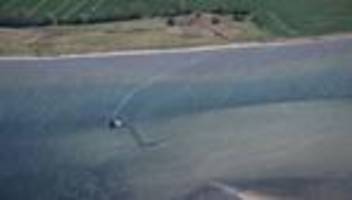 Gestrandeter Buckelwal: Helfer wollen Wal mit Gurt in Lastkahn ziehen