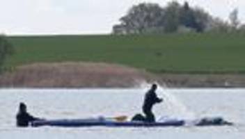 Gestrandeter Buckelwal: Walforscher: Lautstärke kann sehr stressig für Wal werden