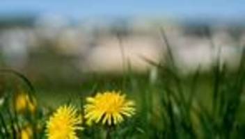 wetter: warmes und trockenes frühlingswetter an rhein und saar